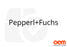 Pepperl+Fuchs VAZ-T1-FK-W-PG7